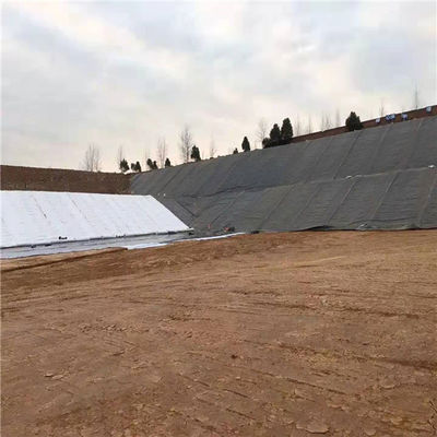 PP Woven Geotextile 300g/m2 for Landfill Filtration